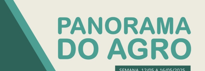 Panorama do Agro - Semana de 12 a 16 de maio