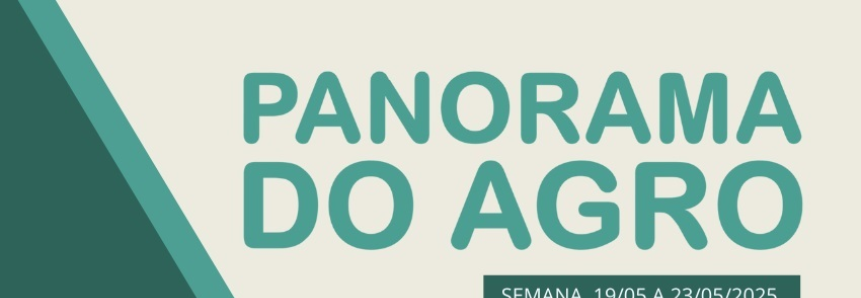 Panorama do Agro - Semana de 19 a 23 de maio