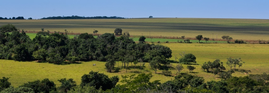 Produtores rurais poderão emitir CCIR 2025 em junho