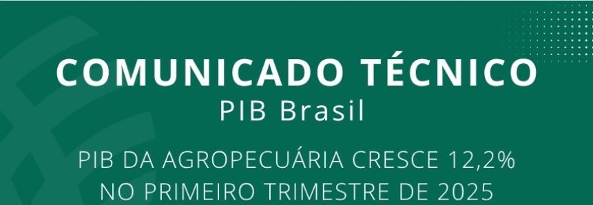CNA divulga análise do PIB