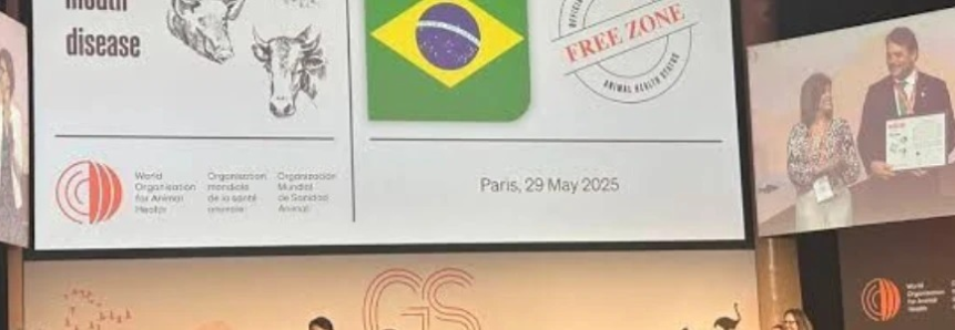 Status Internacional como livre de febre aftosa sem vacinação - Importância para Goiás