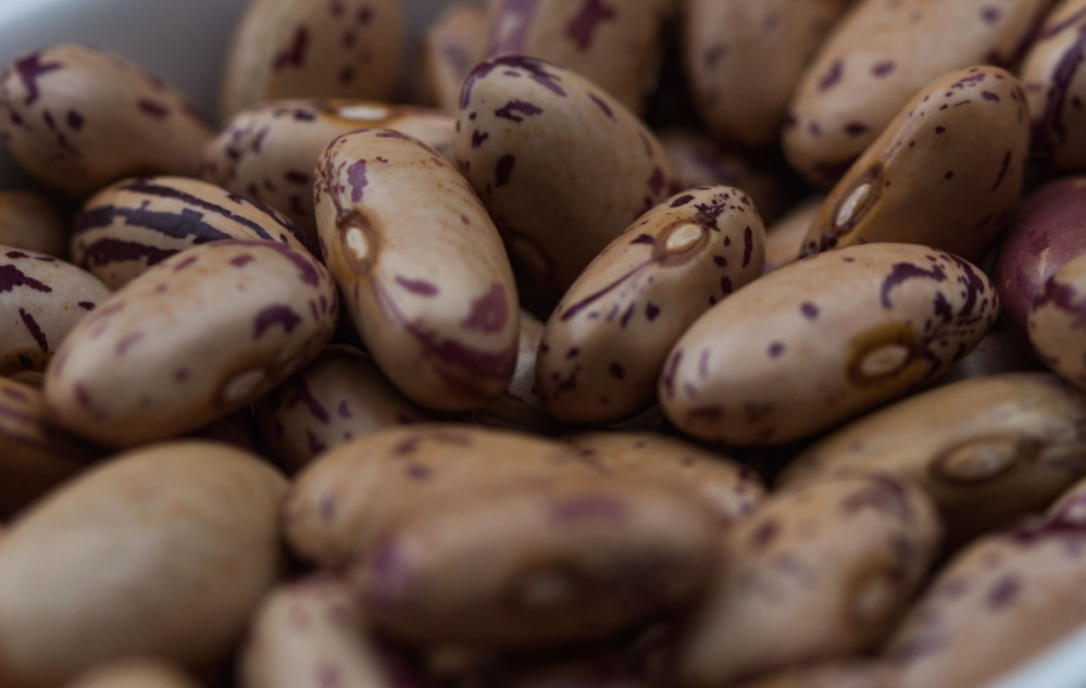 Feijão e Pulses