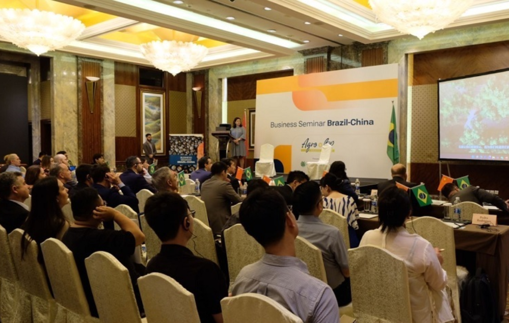 Seminário Brasil-China