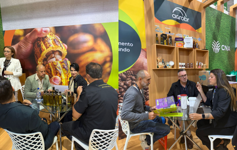 Rodadas de Negócios