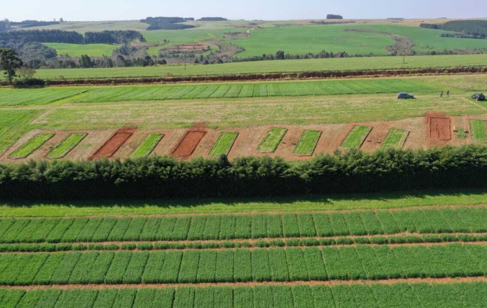 Imagens das pesquisas