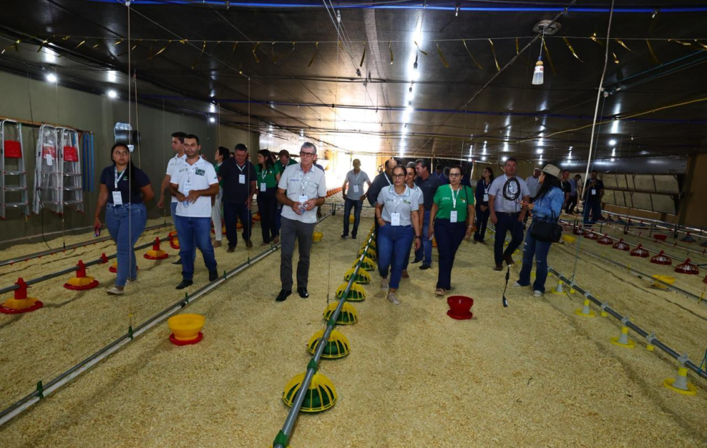 Aviário Escola Sistema FAEP