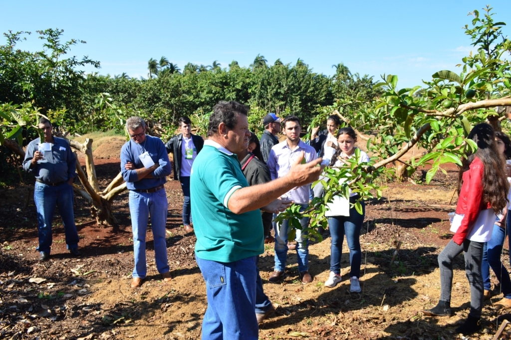 Goiaba curso minare 2