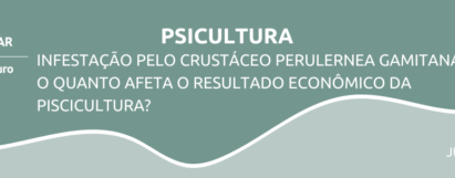 Infestação pelo crustáceo perulernea gamitanae: o quanto afeta o resultado econômico da piscicultura?