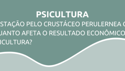 Infestação pelo crustáceo perulernea gamitanae: o quanto afeta o resultado econômico da piscicultura?