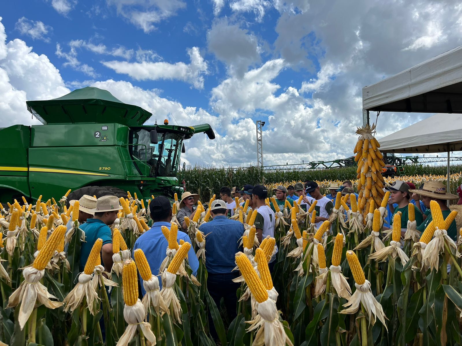 05 12 mai dia de campo fazenda santa clara profarm 5