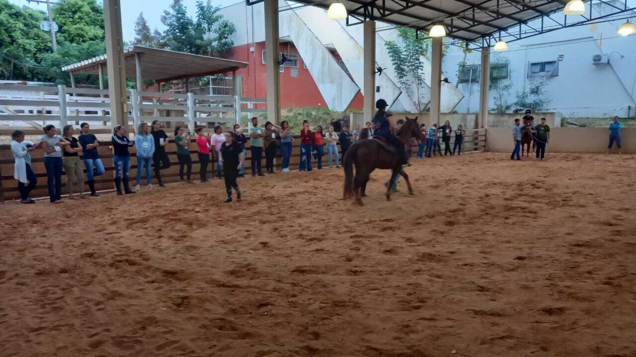 06 03 jun capacitacao de parceiros da equoterapia na ufmt cba 2