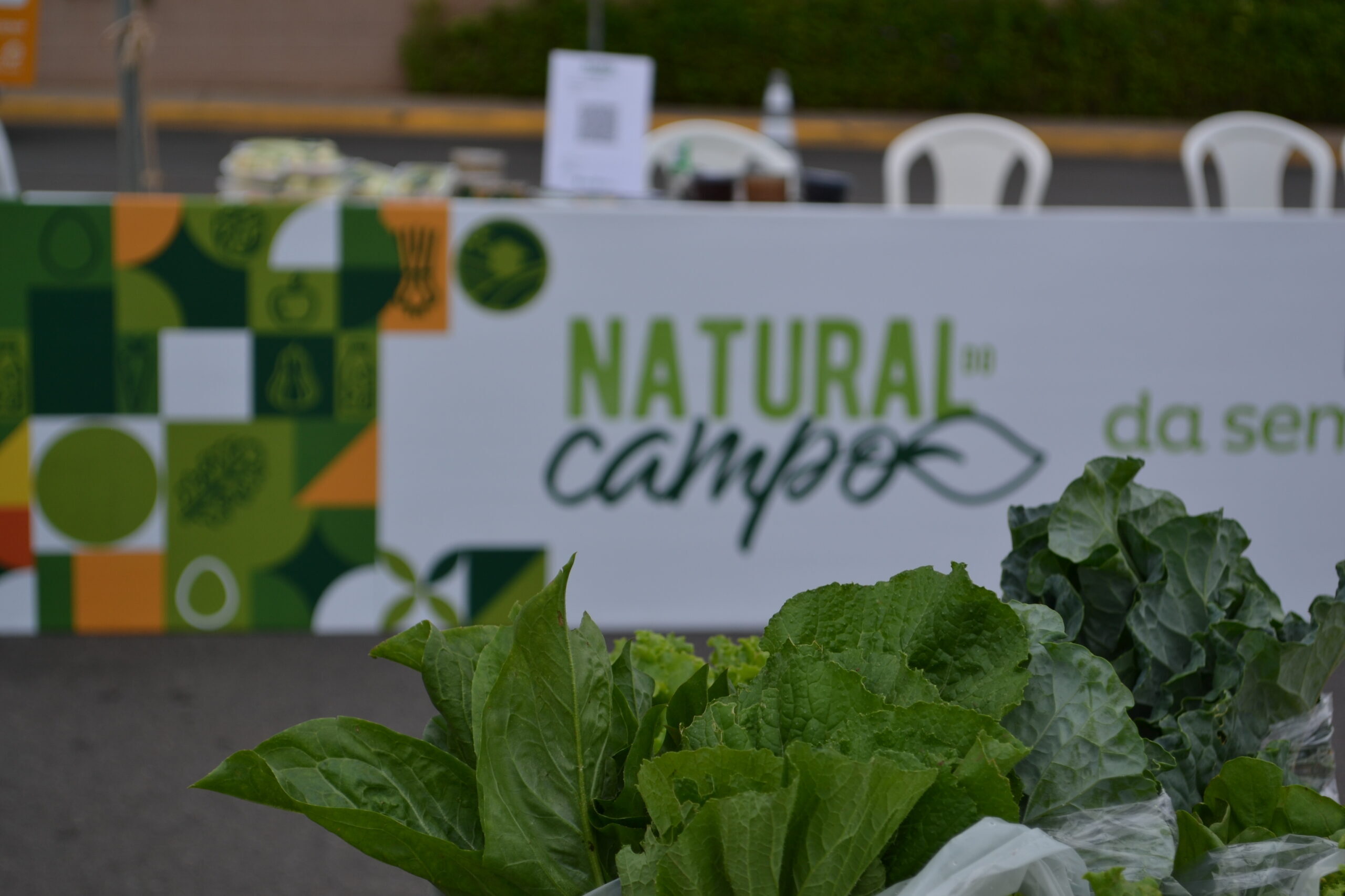 11 03 nov feira do natural campo shopping estacao 72 scaled