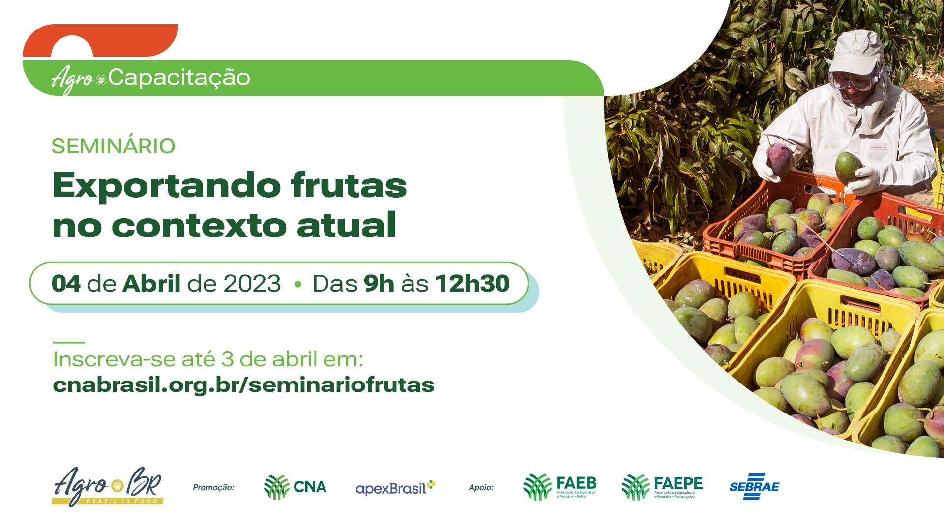 2023 03 08 agro br seminario fruta wide