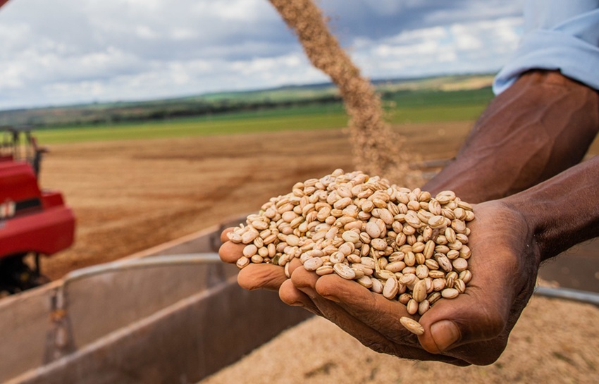 Mercado do feijão segue travado com demanda fraca e pressão sobre preços
