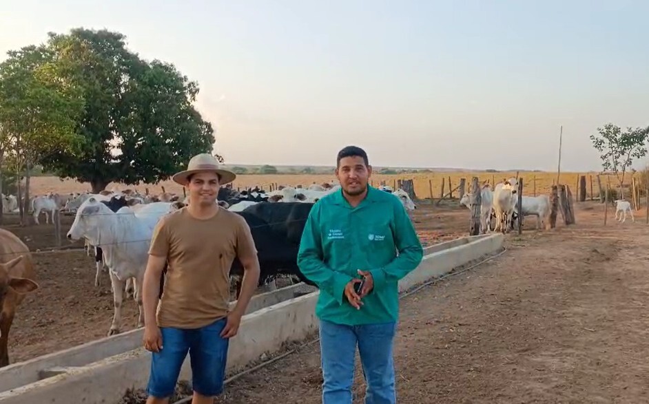 ATeG do Senar-MT impulsiona resultados na pecuária de Nova Xavantina
