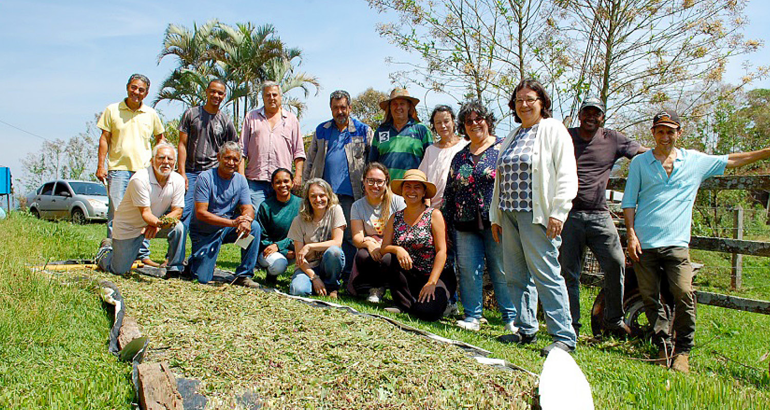 AVICULTURA SITE