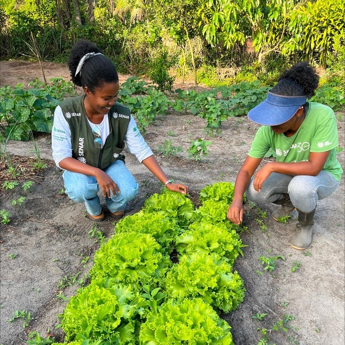 Senar na Bahia acompanhou os testes do biofertizante