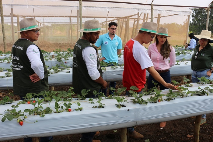 A Arbolina se destacou por sua capacidade de potencializar o desenvolvimento das plantas