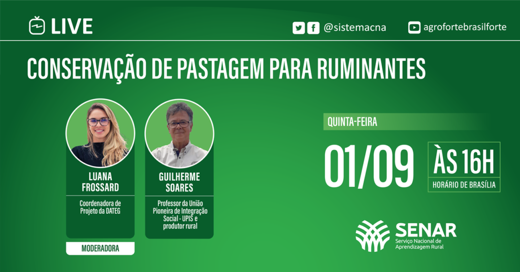 Conservacao de pastagem para ruminantes Landscape