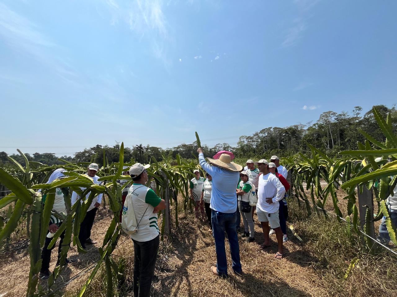 DIA DE CAMPO TOCA DA PITAYA 13 09 16