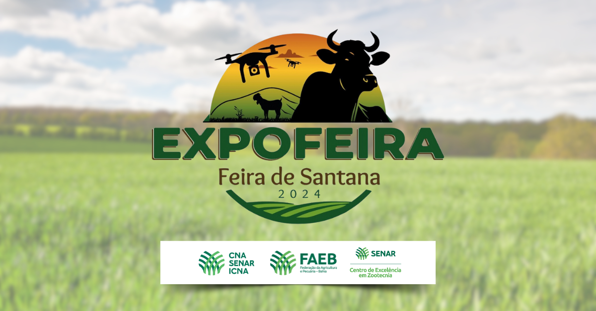 Expofeira