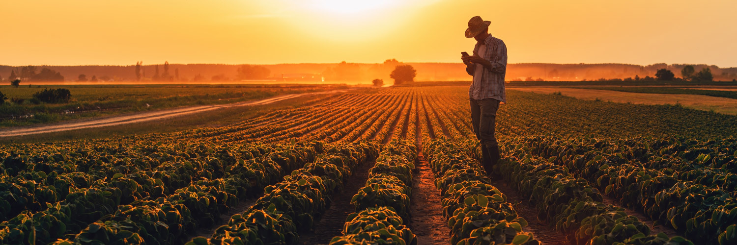 Funrural: produtor deve escolher opção em janeiro