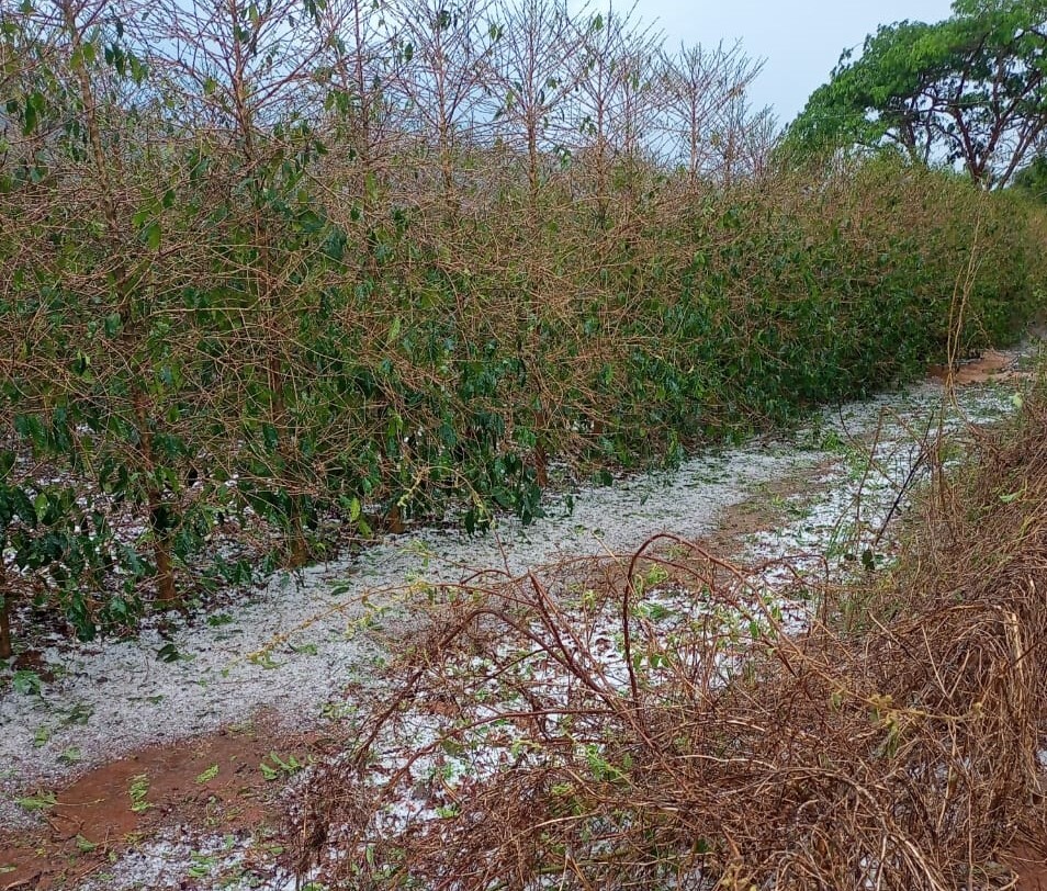 Granizo Sul de Minas