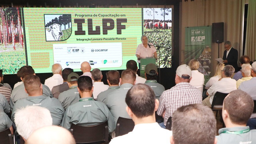 ILPF abre2