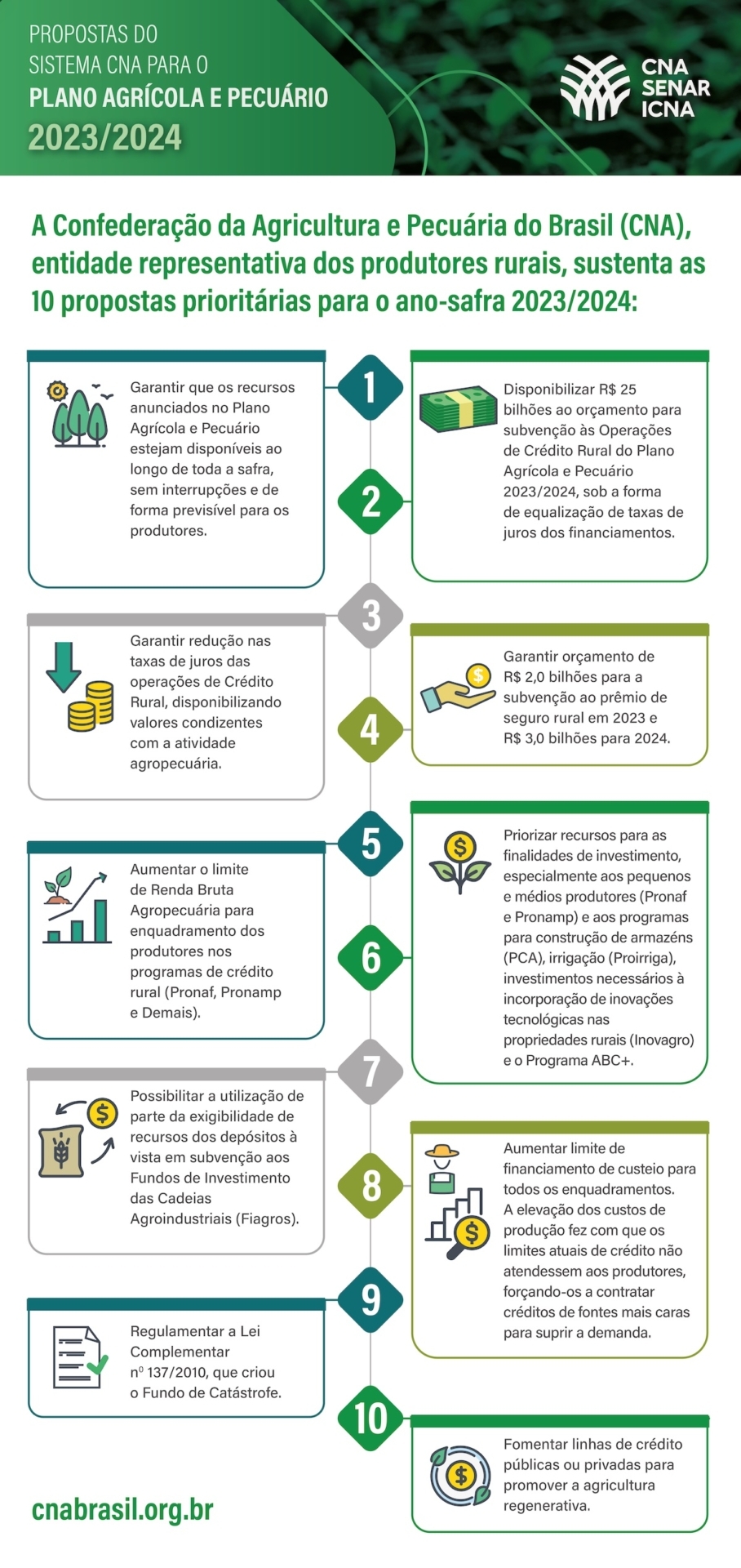 Infográfico