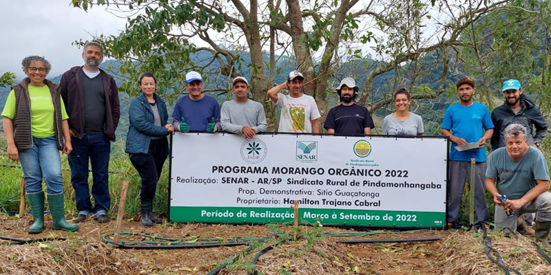 Julho 13 Morango organico BANNER