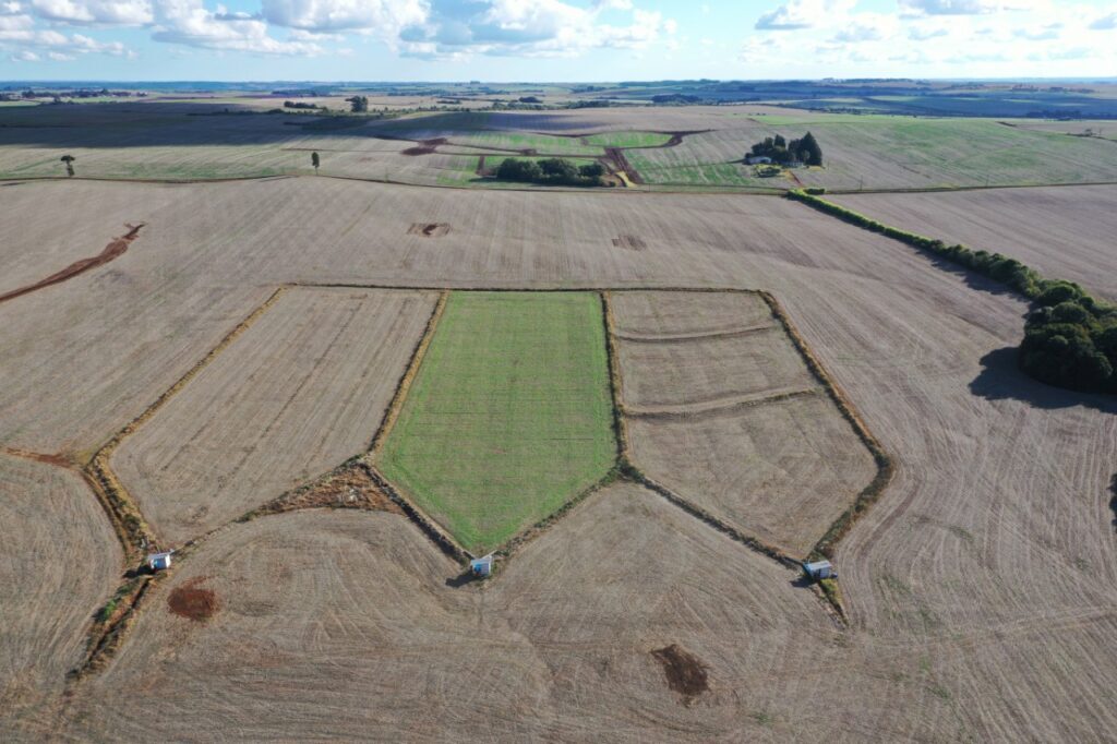 Localização da área de estudo e instalação das megaparcelas