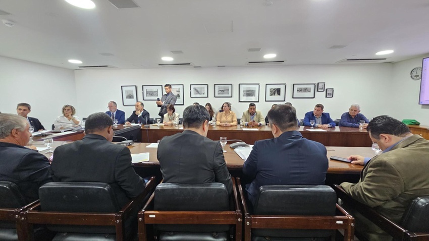 Setor produtivo discute impactos de importação de banana do Equador