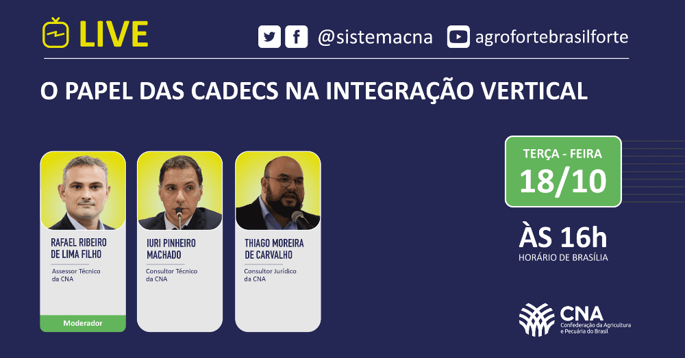 O papel das CADE Cs na integracao vertical