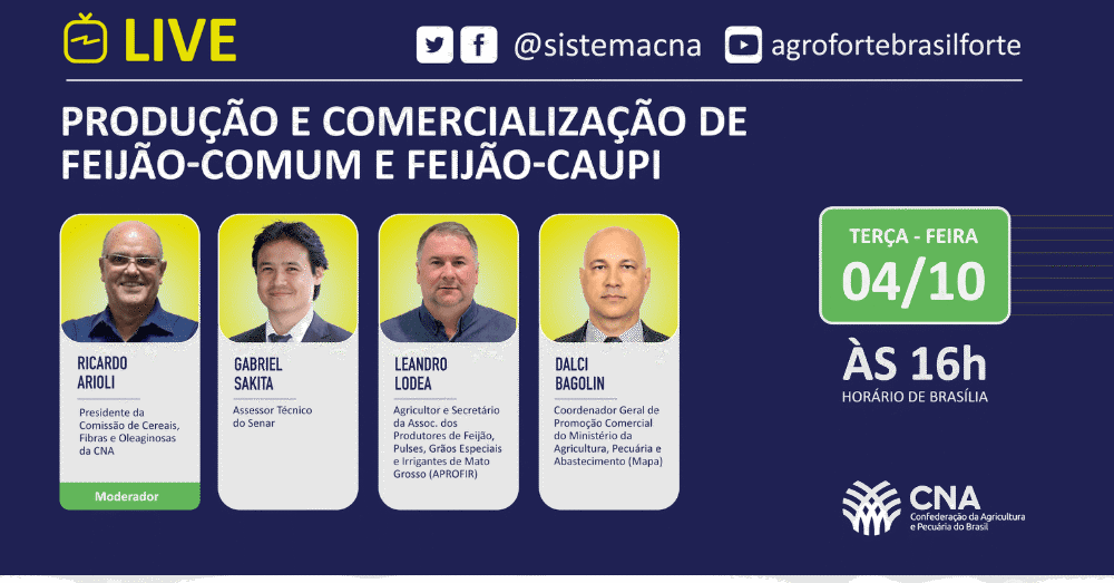 Producao e Comercializacao de Feijao comum e Feijao caupi