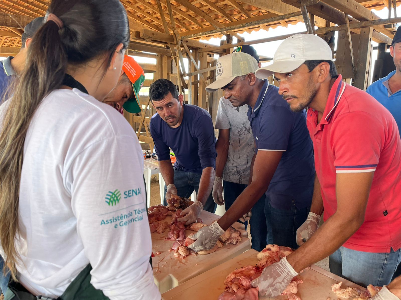 Produtores Ateg Inseminacao Artificial