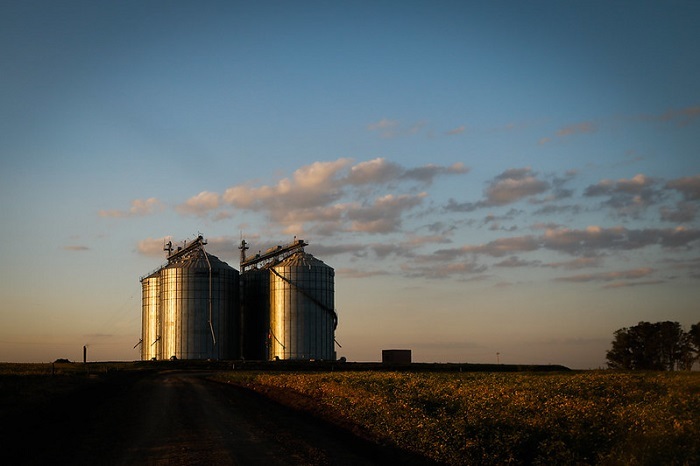 Silo Wenderson Araujo Trillux