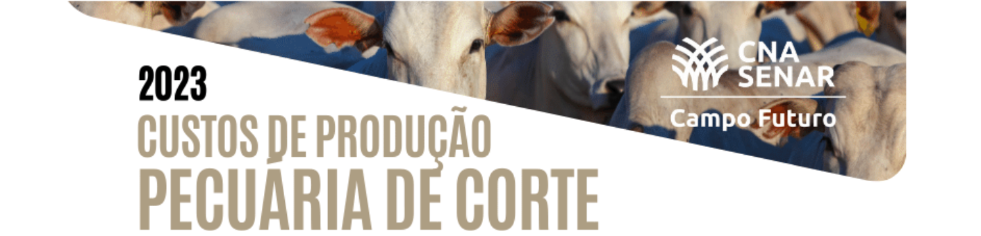 Imagem do banner rotativo