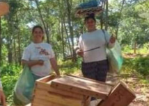 Apicultura cria nova fonte de renda