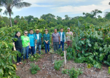 Produtores rurais da cadeia de fruticultura atendidos pela ATeG recebem visita técnica da equipe do Senar-AR/AM em Borba