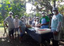 ​Senar-AR/AM leva cursos de beneficiamento de pescado e derivados de frutas a Manacapuru