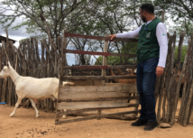 Senar Paraíba completa 29 anos de atendimento ao produtor rural