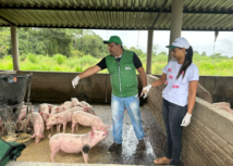 Produtores participam de curso especializado em suinocultura