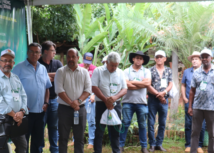 Dia de Campo apresenta resultados do Forrageiras para o Semiárido