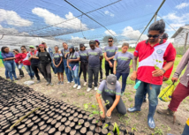 Escritório de Projetos Capacita Alunos da Escola Trabalho e Produção de Salvaterra em Viveiros Permanentes e produção de mudas.