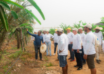 ​Em Humaitá, Senar Amazonas e Sebrae/AM realizam Dia de Campo com foco em fruticultura para produtores rurais assistidos pela ATeG