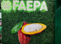 Sistema Faepa/Senar marca presença no Festival Internacional do Chocolate e Cacau da Amazônia