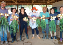 Senar-SP e Sindicato Rural de Itatiba promovem curso visando capacitar novos produtores