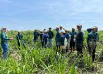 ​Senar Amazonas promove, em convênio com o Sebrae/AM, Dia de Campo na Vila do Novo Céu, em Autazes