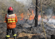 Em meio a recorde de incêndios, Sistema FAEP contrata instrutor para cursos de prevenção e combate