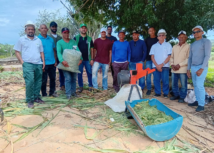 Curso do Senar capacita produtores e estudantes em produção e conservação de silagem em Eliseu Martins